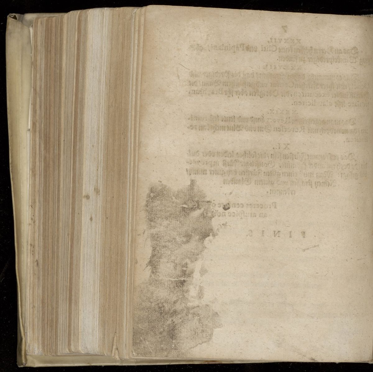 Calendarium novum-propheticum jubilaeum [...]. Neuwer prophetischer Jubell-Calender [...] Postilion, dess grossen himmlischen Löwens unnd seiner Seher