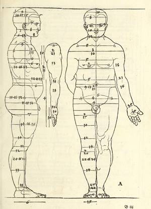 Anatomical woodcut diagrams showing the proportions of the human male body in profile and frontal views, labeled with numerical measurements and symbols.