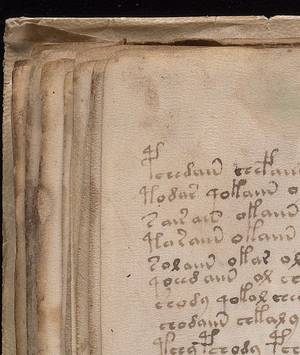 Large botanical illustration of an unidentified plant. The top right features a large, complex flower head with concentric circles of blue and green petals and a central disk. The flower sits on a textured, funnel-shaped red receptacle with green vertical markings. The stem is thin and pale, leading to large, serrated green leaves and several brown, bulbous, radish-like roots. A smaller, similar plant structure with leaves and roots is shown on the bottom left.