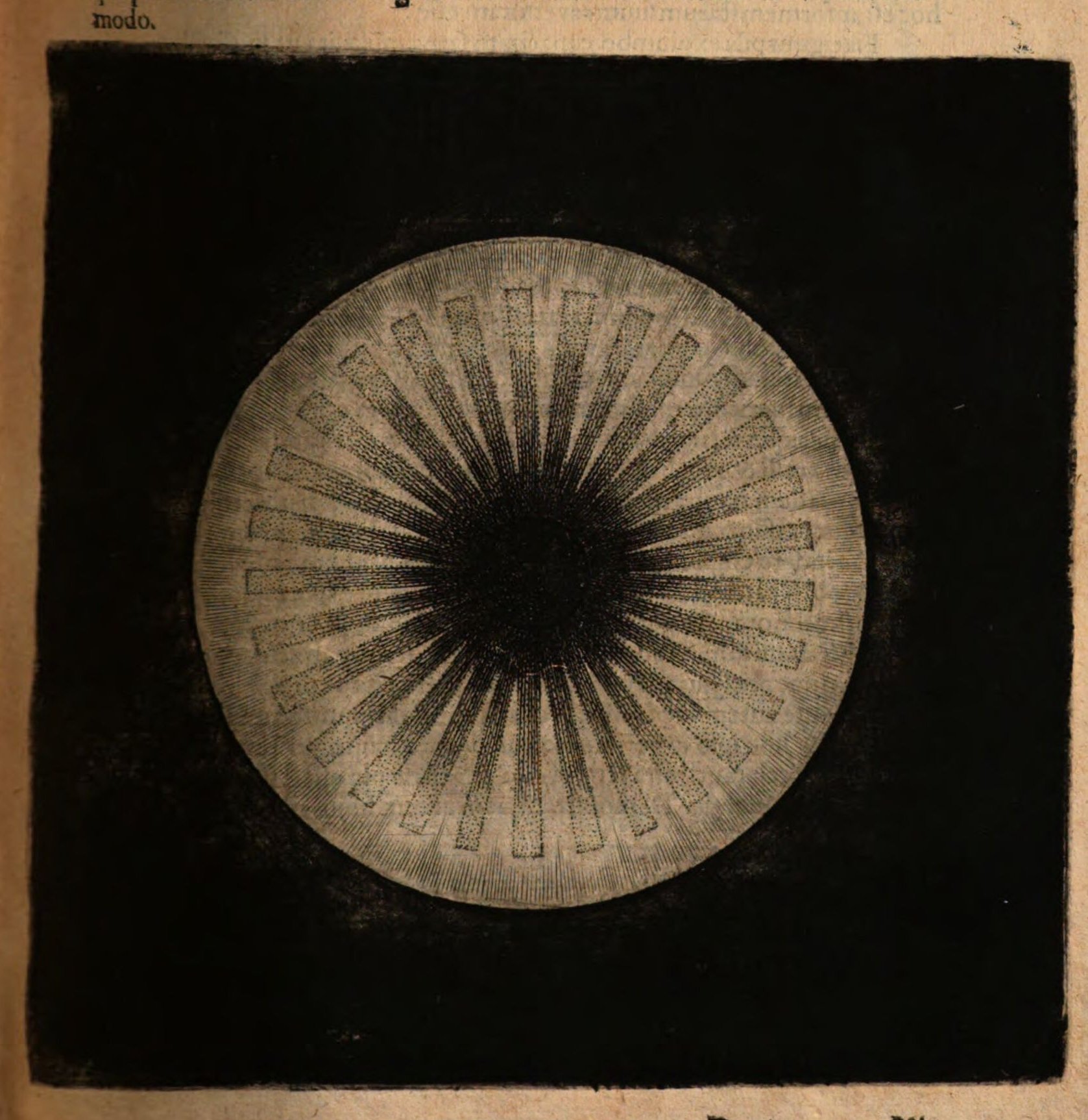 Robert Fludd — Fiat Lux