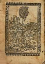 Li Sonetti Canzone Triumphi